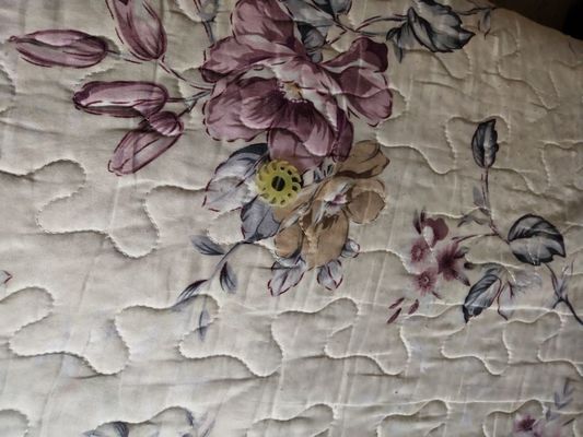 China A058598 A058598-01 Noritsu Qss3001 3300 2901 Part Ejection Roller O Cut 12 Teeth supplier