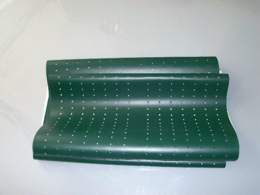 China Poli Laserlab 3049 Digital Minilab Part Green Belt supplier