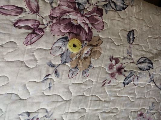 A058613 A058613-01 EJECTION ROLLER O CUT TEETH 24 FOR NORITSU Qss2901 3101 3201 3300 3401,3701 Minilab supplier