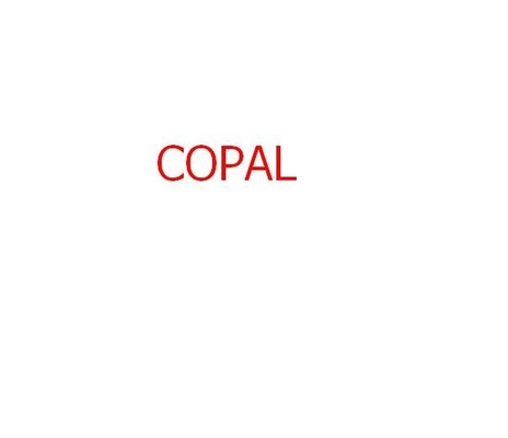 chemical filter for Copal 6030/6550 minilab 140x22x35mm supplier