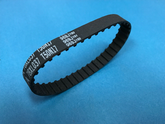 323F3124 Fuji Frontier Minilab Spare Part Belt supplier
